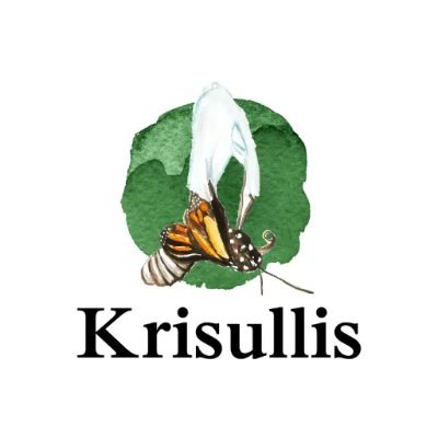 TheKrisullis's tweet photo. 2024 : Watching the Ripples and
Being in Reflective Action Mode

The Krisullis was born from a vision that our founder caught way back in 2010 - to support creators in a space that provides the currencies of safety, support, guidance, trust and compassion as anchors. https://t.co/6CGtpNqiNk