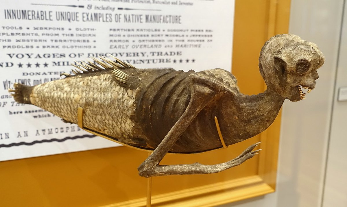NerdsOfX's tweet image. In 1822, Captain Samuel Barre brought back a purported #mermaid mummy, showcased in major cities. Later it was revealed as a composite crafted by Japanese fishermen—a fusion of a monkey's head and torso onto a fish's body and tail. #HistoricalScience