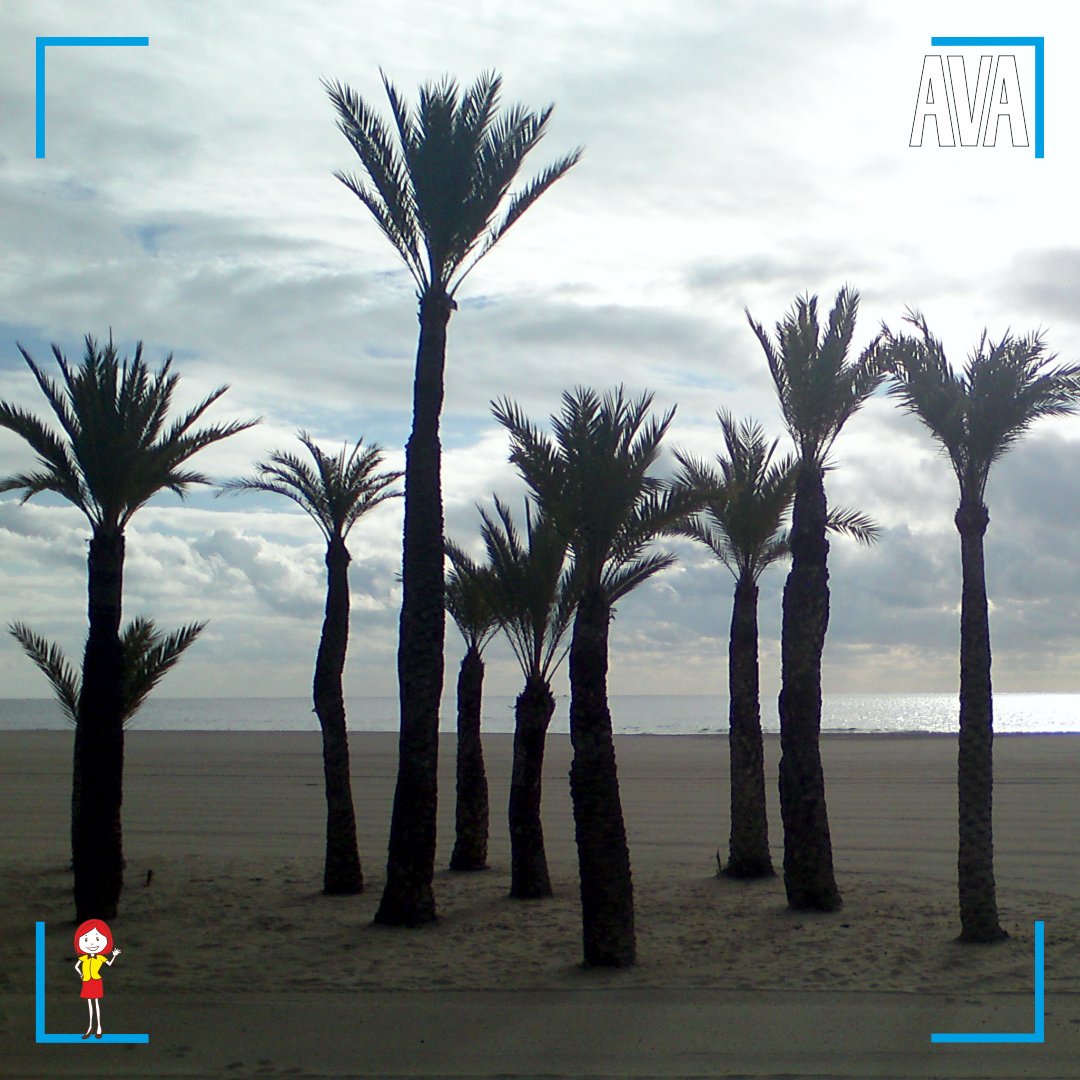 Ava_ProTraveler's tweet photo. I miss summer and the sea. The weather is pleasant in Benidorm, but you still can't go to the beach during this period.
.
#Benidorm #Spain #MissingTheSummer #MissingTheSea #Beach #Travel #Relaxation #Holidays https://t.co/r4T9t5caRf