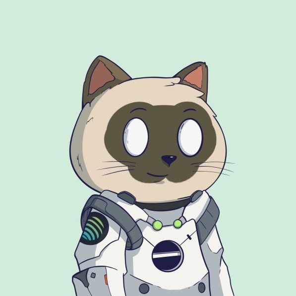 jussy_world's tweet photo. Giveaway! 🎁 

3 WL spots in

@JupyCats 

- Follow me and project 
- Like and RT this Tweet 
- Tag your friends  

Winners will be drawn in 24h hours! ⬇️