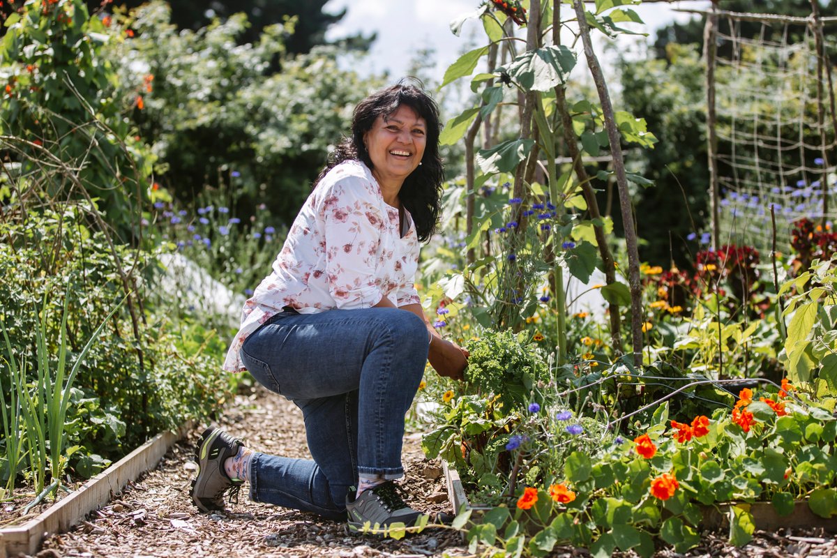 Would you like to have an allotment at RHS Garden Wisley? There are only two weeks left to apply for the 2024 community allotment project, closing date Friday 15 January. To apply now, visit rhs.org.uk/gardens/wisley…
