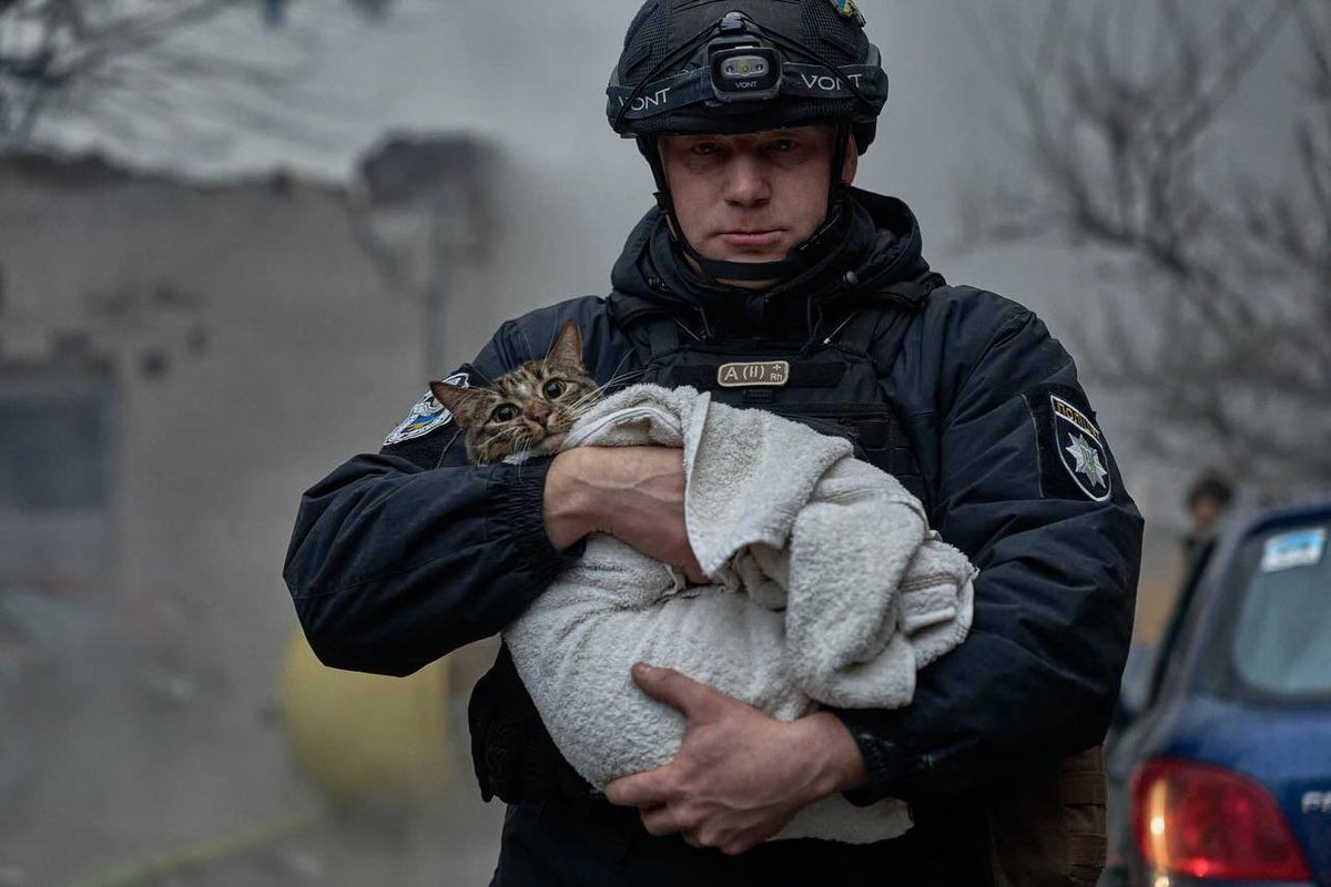 reshetz's tweet photo. Kyiv 02.01.24
russia is a terrorist state https://t.co/fkk77iqWuK
