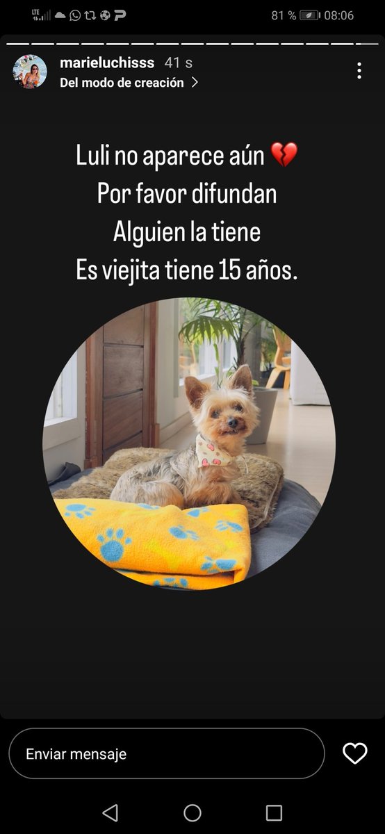 Uruguay nomá!!! (@betopraino) on Twitter photo 