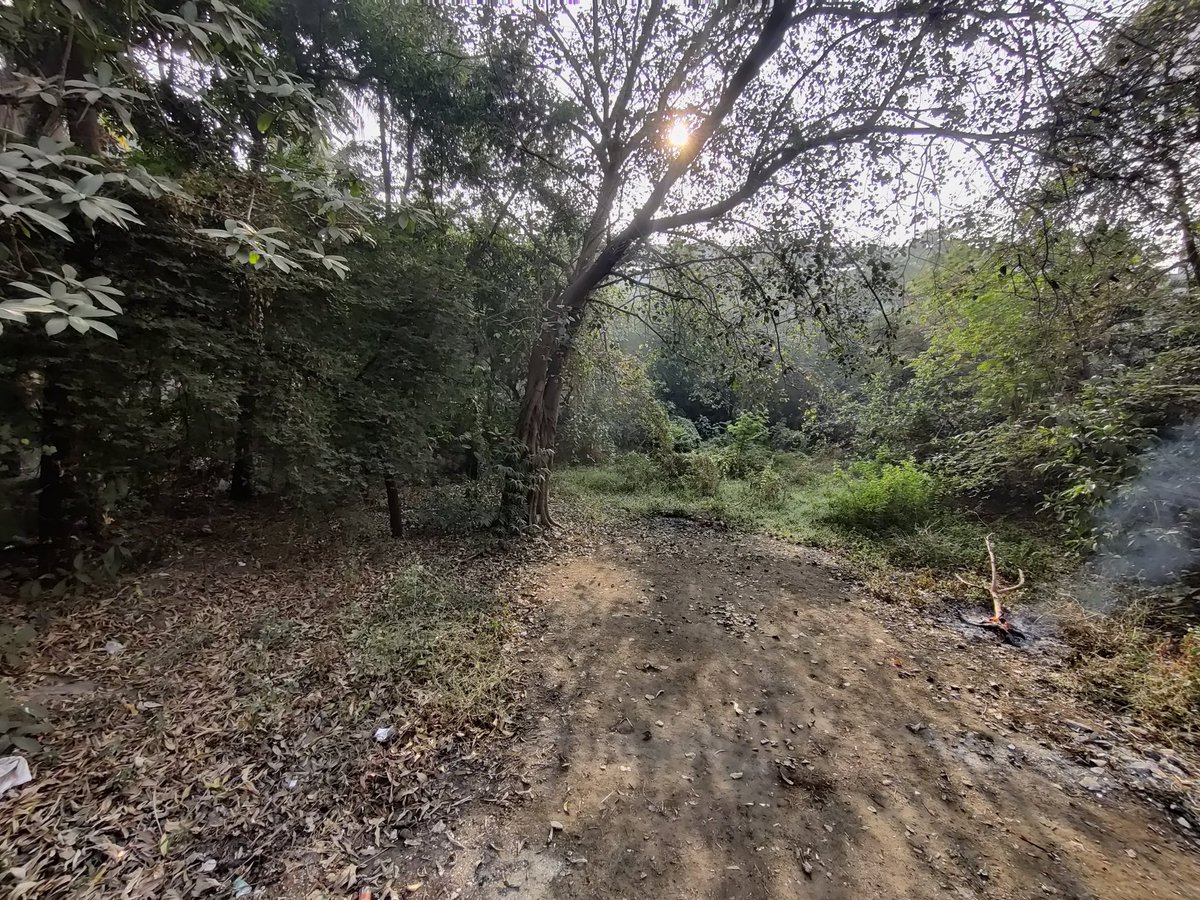 BombaykiAwaaz's tweet image. Dear @mybmcWardL/@mybmc ,
If I can clear this much with my friends of New Tilak Nagar. Imagine you putting a force of employees to clear this!
Sincerely,
Help Mahada Plot shine ✨Stop telling what comes under your service  &amp;amp; act!
@MNCDFbombay @tnrwa can you help for #cleanupdrive