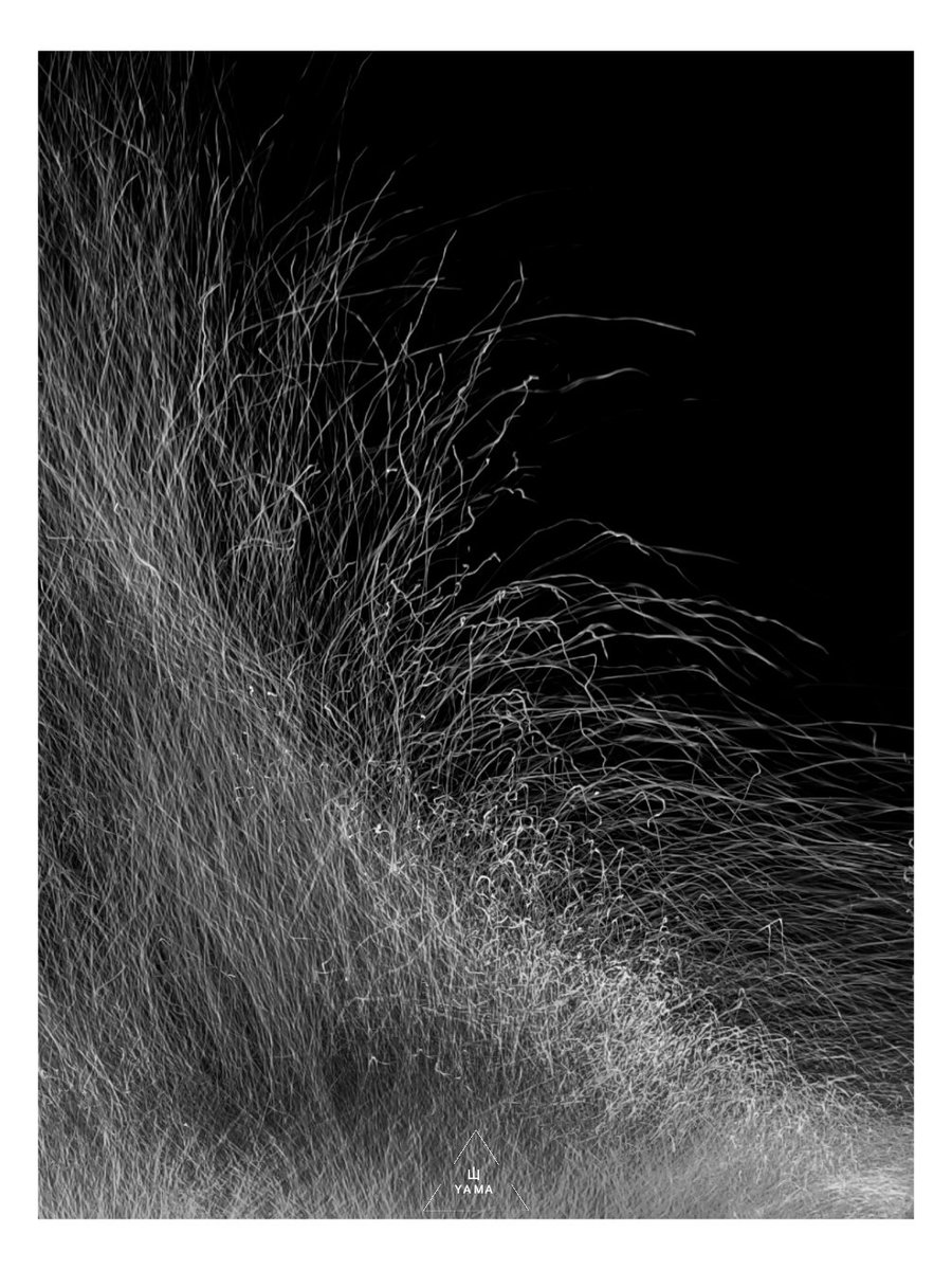 •Inked Flowing Sparks 

#Flow #Sparks #Fire #Light #Minimal #BW #Black #Chaos #Ink #Poster #Abstract #Minimalphotography #AbstractPhotography #photography  #Yama山 #山