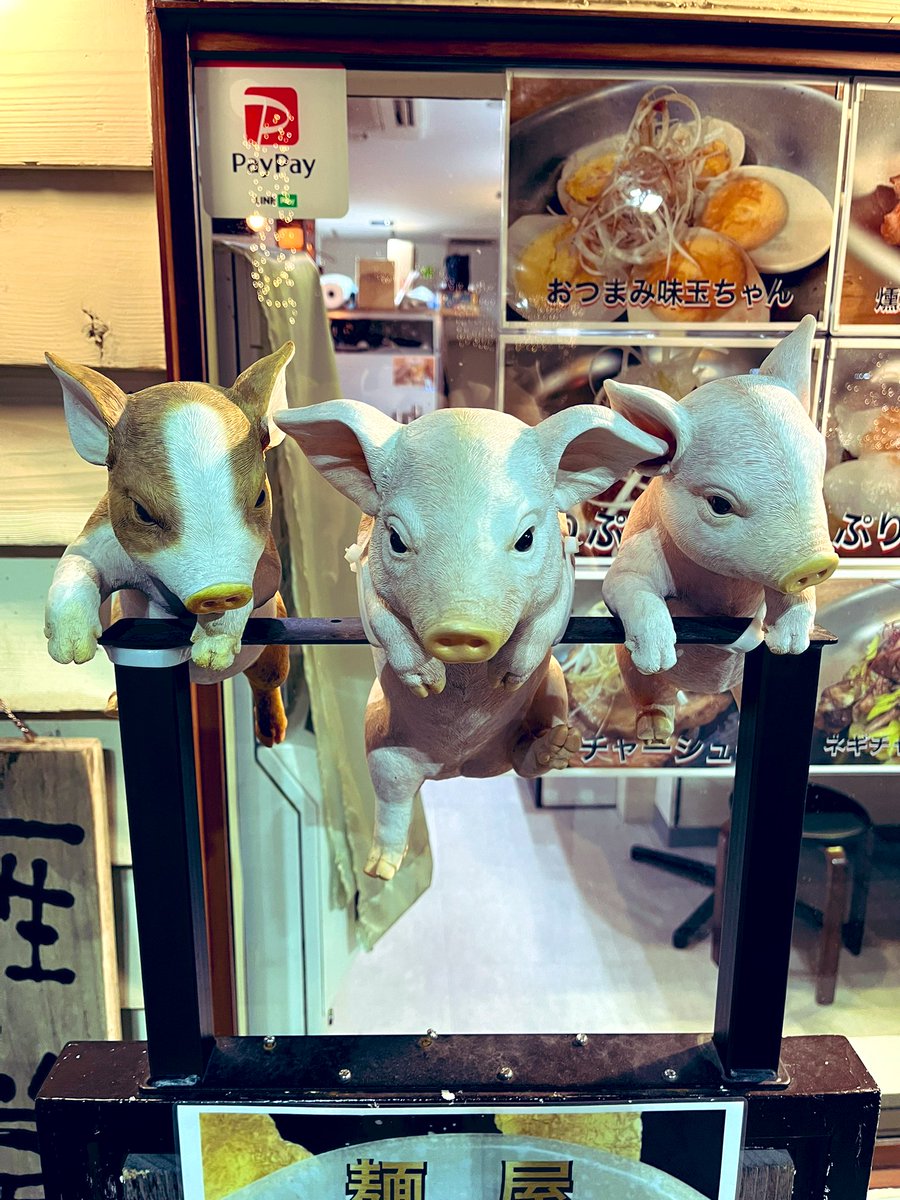 kagopii's tweet photo. やっと動画撮れました！
2024年一発目のお知らせ✨
幡ヶ谷に来た際には是非とも！
お酒も飲めますよ🍻

【お知らせ】○○始めました！ 
https://t.co/rxgW66fb7V 

↓インスタ
フォローしてくれたら飛びます🤩
https://t.co/mqN711pJfS

#YouTube
#ヘイフィーバー https://t.co/H648fxvNgT