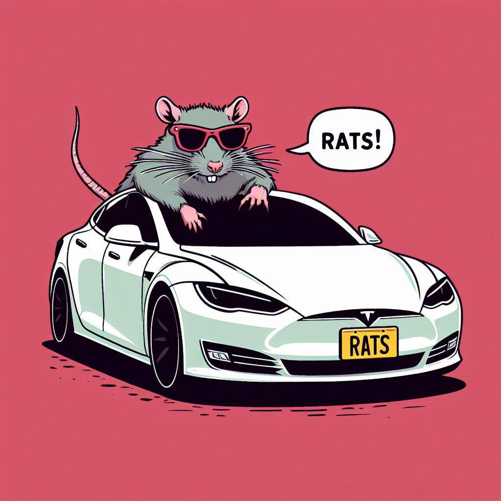 RATSBRC20_'s tweet photo. @1000xgirl rats ! https://t.co/2ySWT3SiyB