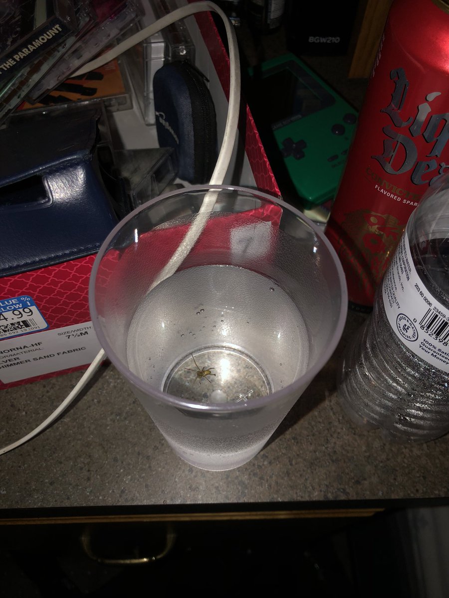 It’s 5 am and I almost drank a spider

how you doin’