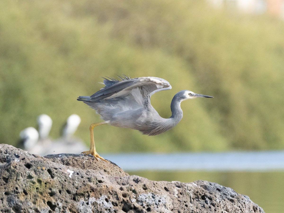 2024 Goals for photography

Current Number:
Tiktok - 69
Instagram - 279
Facebook - 7
Youtube - 1

Goal:
Tiktok - 500
Instagram - 1k
Facebook - 250
Youtube - 50

*Be featured in another magazine, preferably Australia Geographic but we will see!!

*Improve photography 10fold