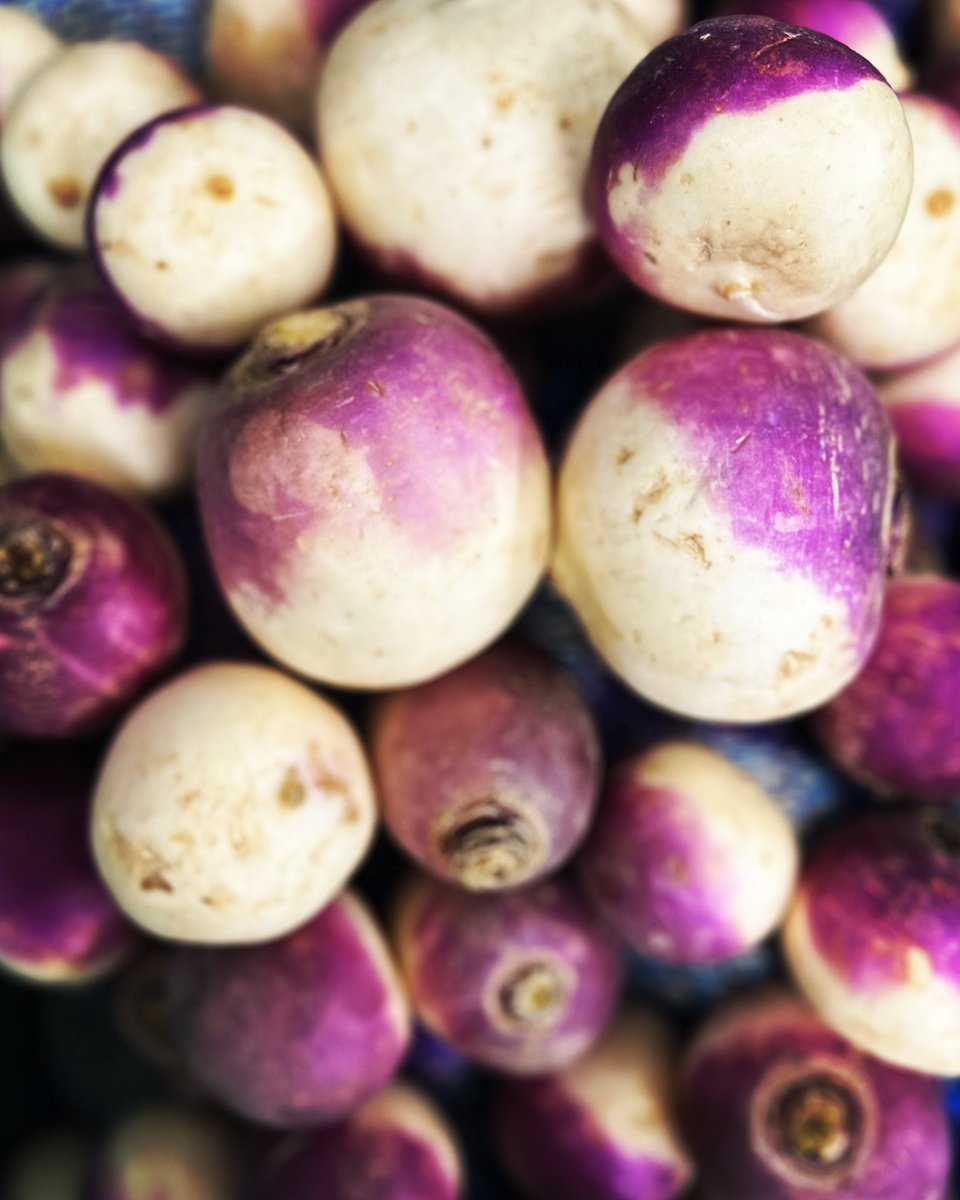 Turnips: a very underrated but tasty, local and seasonal vegetable! A great addition to any hearty winter casserole or soup! #turnips #winterveggies