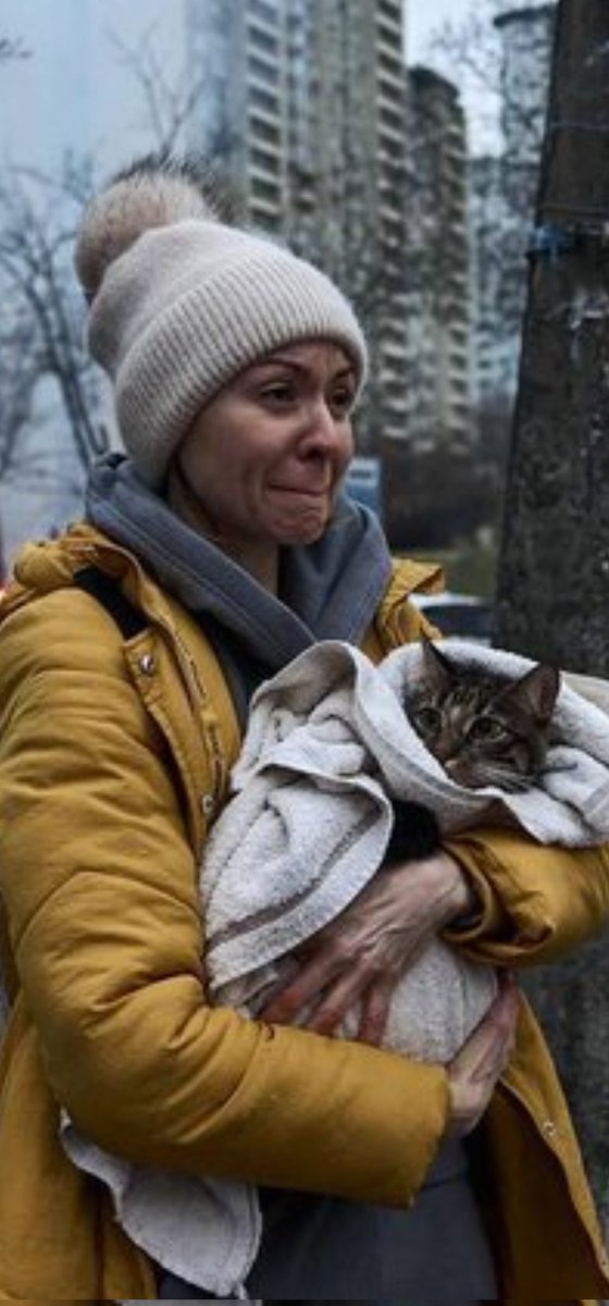 Just one of many this morning in Kyiv that have lost everything.

Rescuers managed to save her cat.