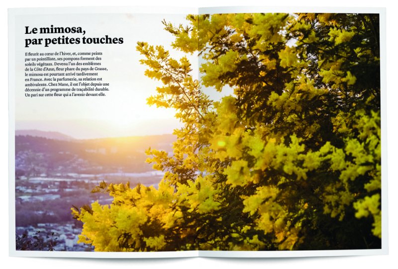 nezlarevue tweet media