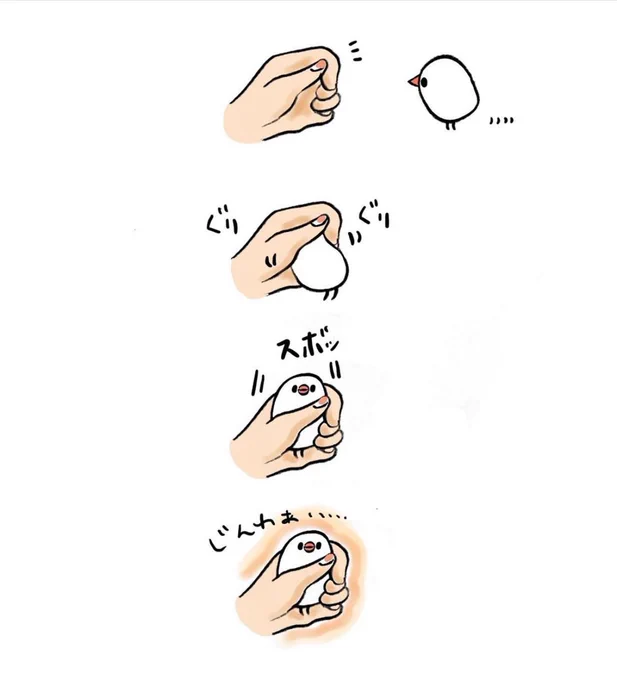明日も20〜21時にイラスト投稿します
『暖をとりにくるぶんちょ』(再掲) 