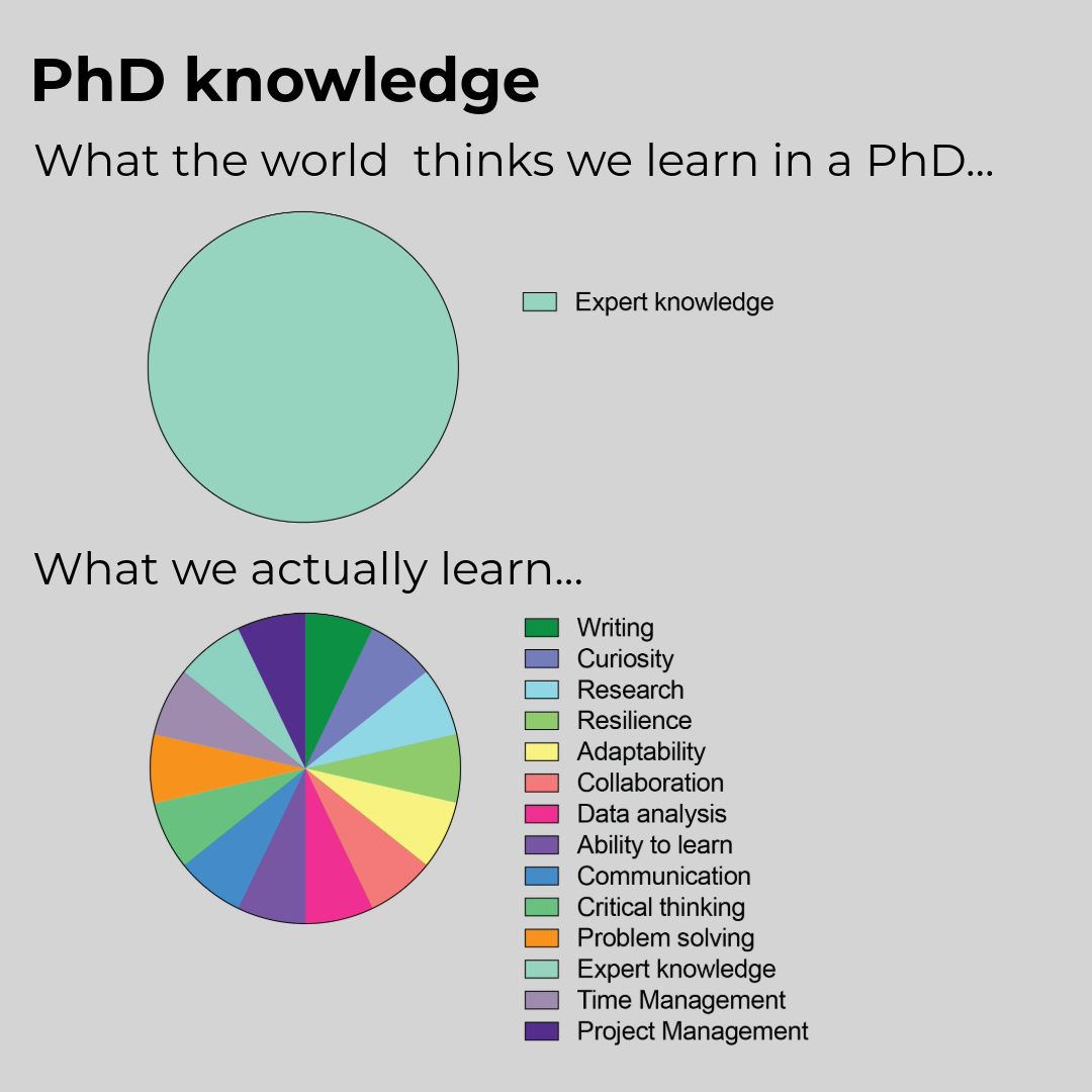 A PhD entails so much more than content!

(Please share the creators' information if you know it, so I can give proper credits!)