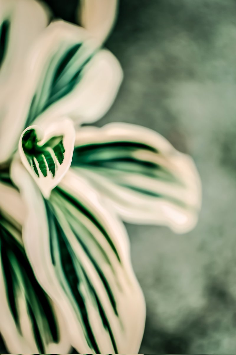 GM gm folks!!!
Have a nice day. 🧡😉