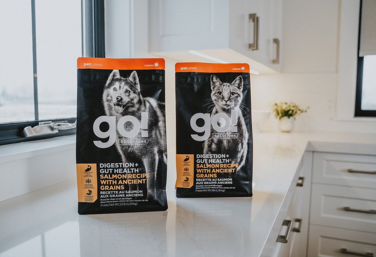 HelloPetsHFX's tweet photo. Ever wonder why a healthy digestive system is essential to your pets overall wellbeing? Because a healthy gut equals to a happy pet!

Try Go! Solutions Digestion + Gut Health recipe today for just $18.99!

*Offer runs till Jan 31, 2024, and available in 3lb and 3.5lb bags only. https://t.co/AG7MS3PwD1