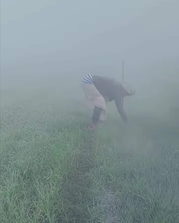 YadavG07's tweet image. जिस ठंड में शहर का हर शक्स थर थर काँपता है उस ठंड में गाँव का किसान रात भर पानी में अपना खेत नापता है।
जय हो #अन्नदाता  #जय_किसान #kisanlife