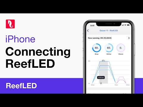 MarineFarmUK's tweet image. Connecting ReefLED to ReefBeat - Tutorial #connect #Learn #reefled
tinyurl.com/ym4chcrj
