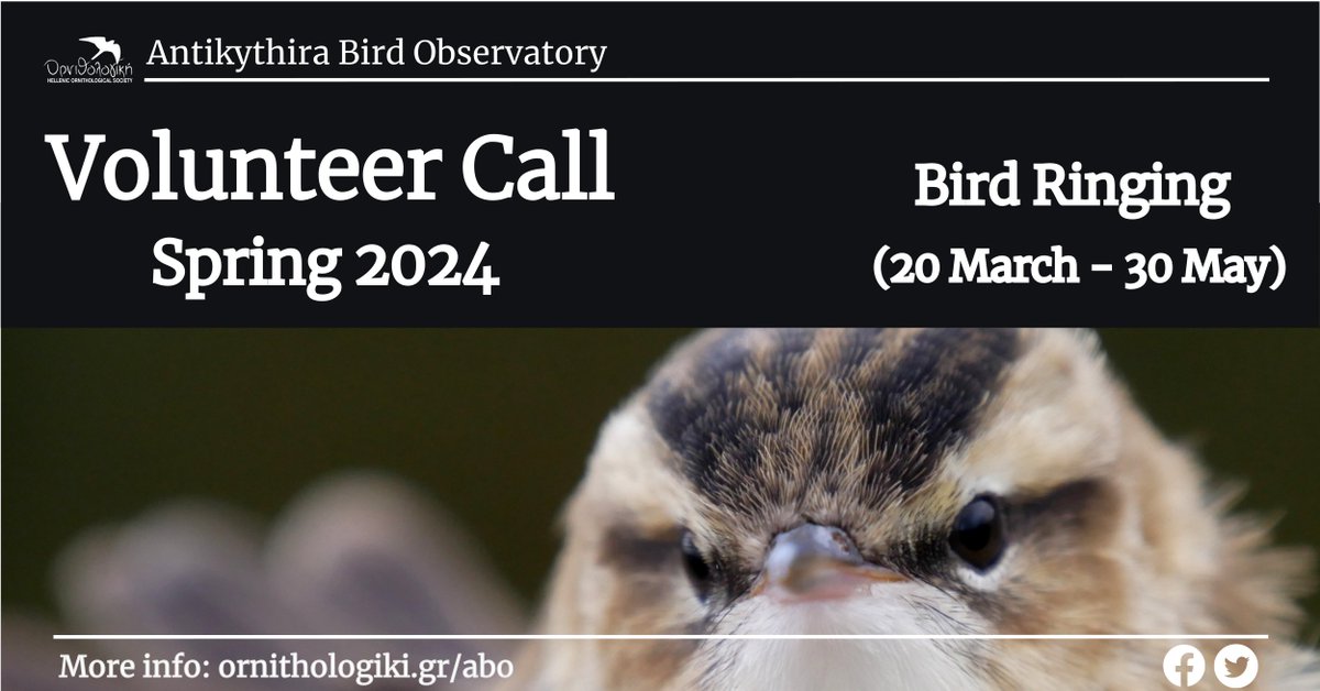 AntikythiraBird's tweet photo. To all bird ringers &amp; bird enthusiasts out there! Our spring 2024 bird ringing Volunteer Call has been launched! Experienced and keen bird ringers &amp; helpers are welcome to join our ringing campaign, which will take place between 22 March and 30 May.  #Ringing #Banding https://t.co/6sJLZuCqo2