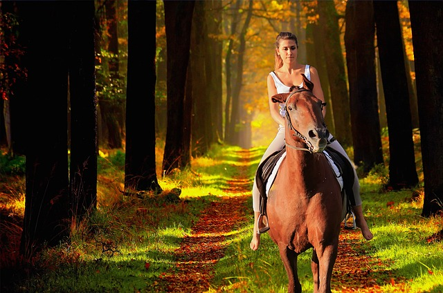 WeltResa's tweet photo. Wie oft sollte ein #Pferd geritten werden? - Die richtige Balance für Gesundheit und #Training
Ein Pferd zu reiten ist nicht nur eine Freude für den Reiter, sondern auch eine wichtige Aktivität für das Wohlbefinden und die #Gesundheit des Pferdes.
https://t.co/M0zbMF9ZBg 
#hours https://t.co/WgvMHeyUxn