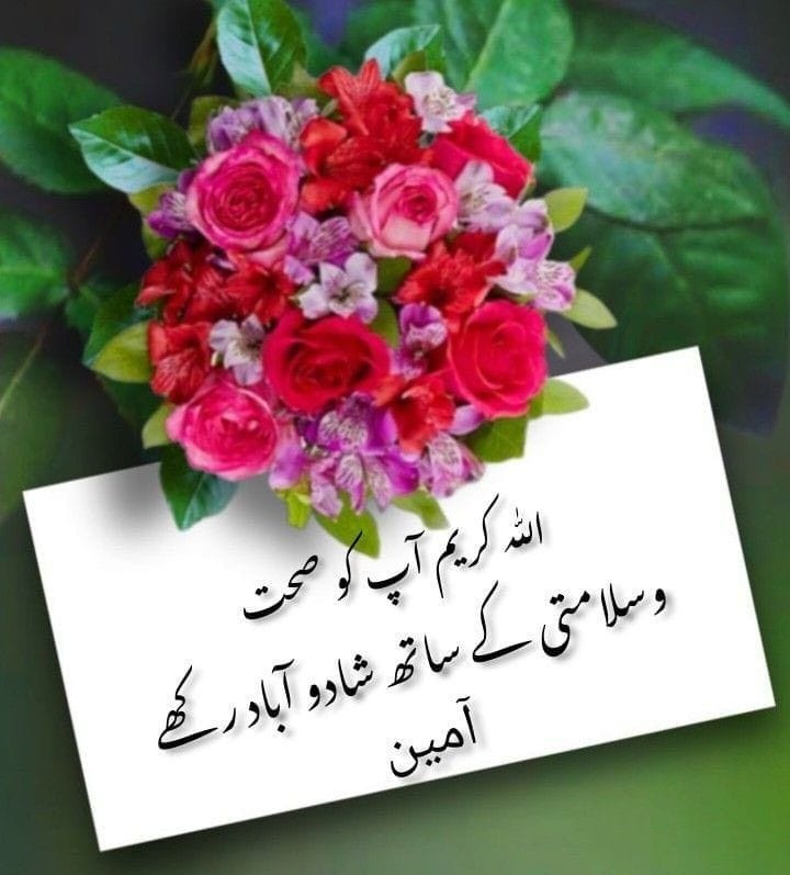 zai14203's tweet photo. @PtiPromo https://t.co/bCf9ckBdmT
