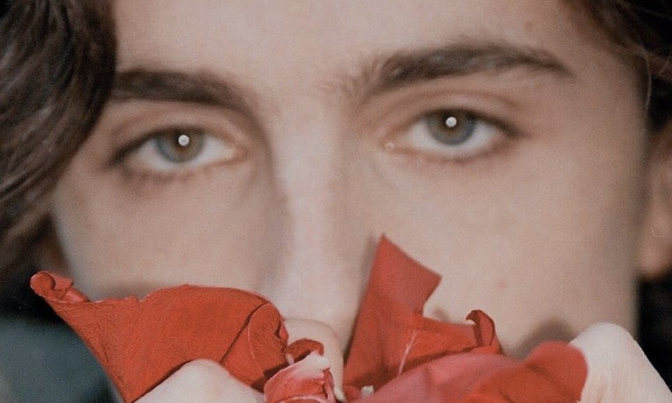 Timotheeの目が本当に好き。美しすぎる。