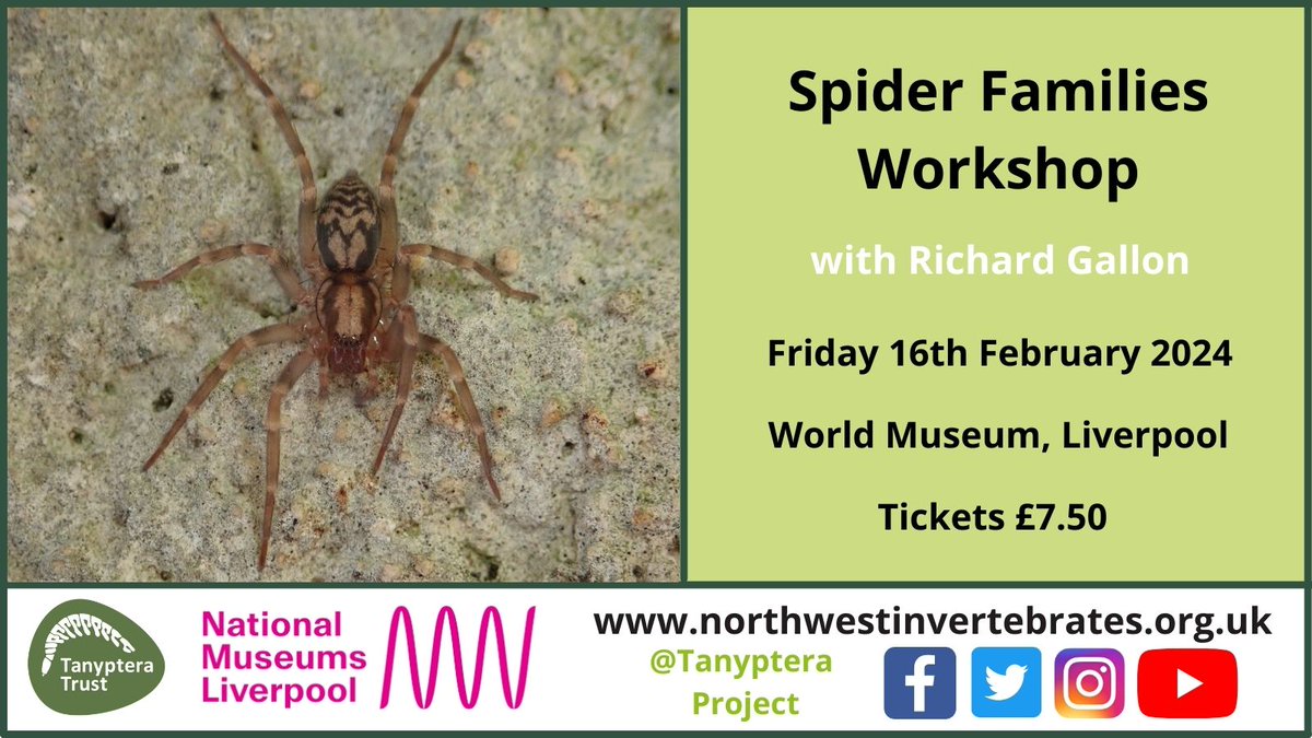 Join us for our first workshop of 2024! Spider Families with Richard Gallon on 16th February 🕷🕸 Book your place here: northwestinvertebrates.org.uk/event/spiderfa…
