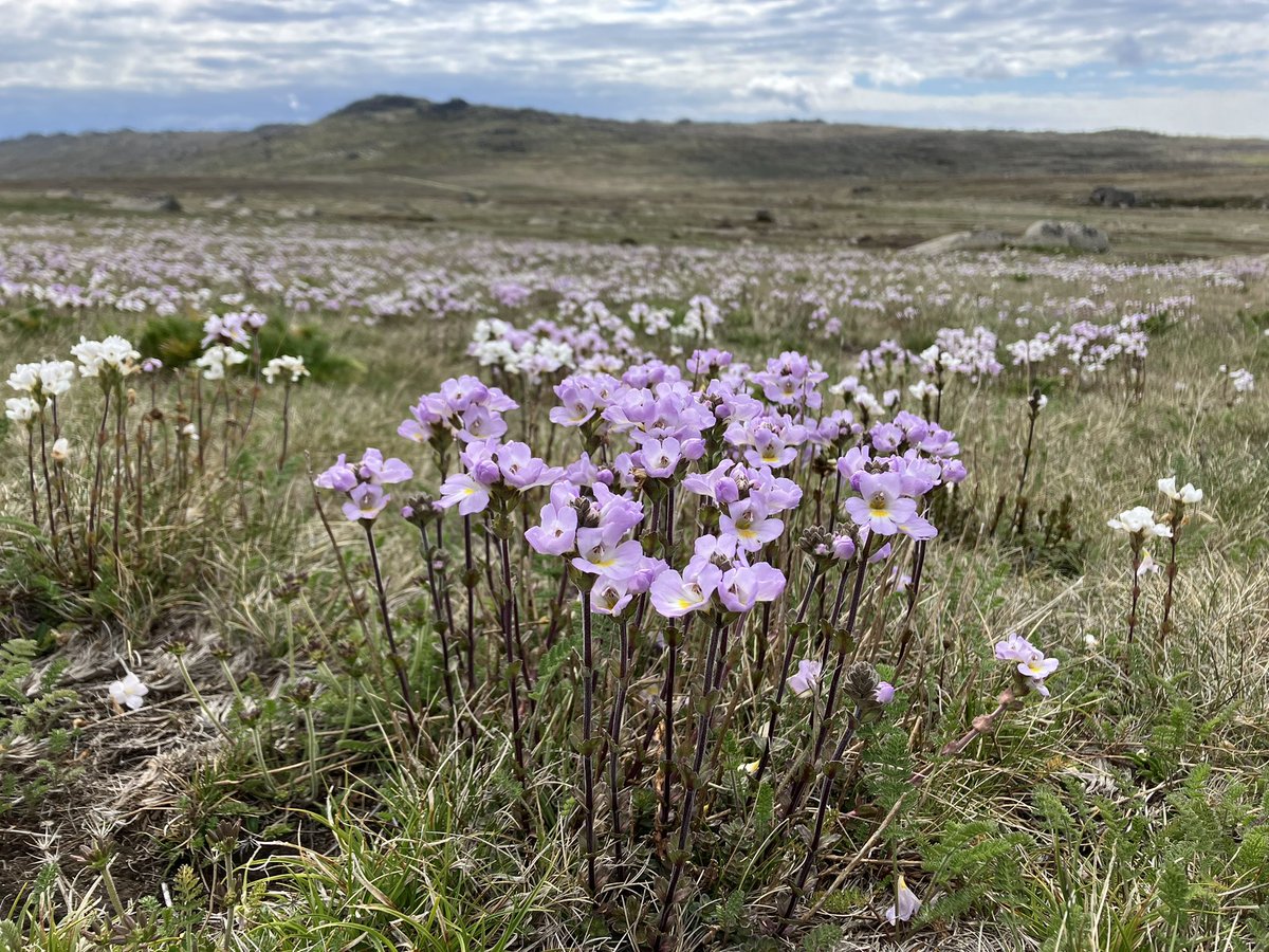 John Morgan tweet media
