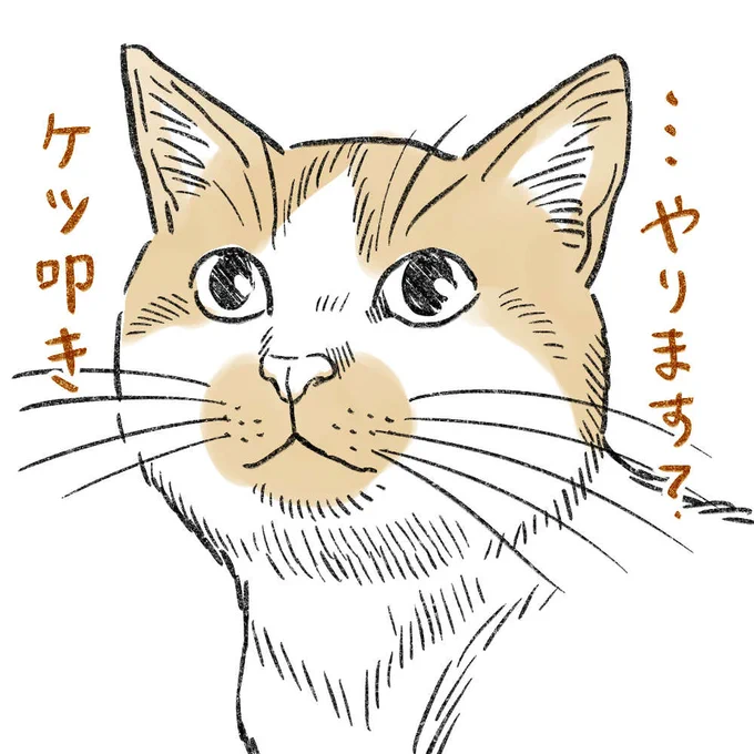 ケツを叩いて欲しい猫(15)