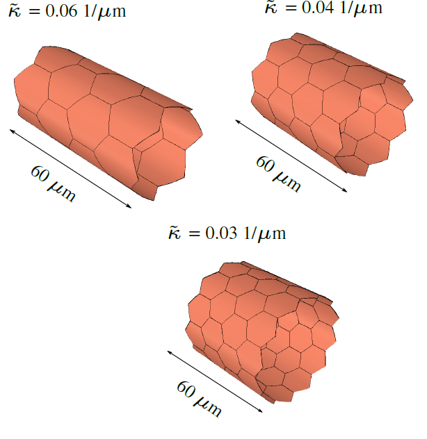 Pradeep Keshavanarayana tweet media
