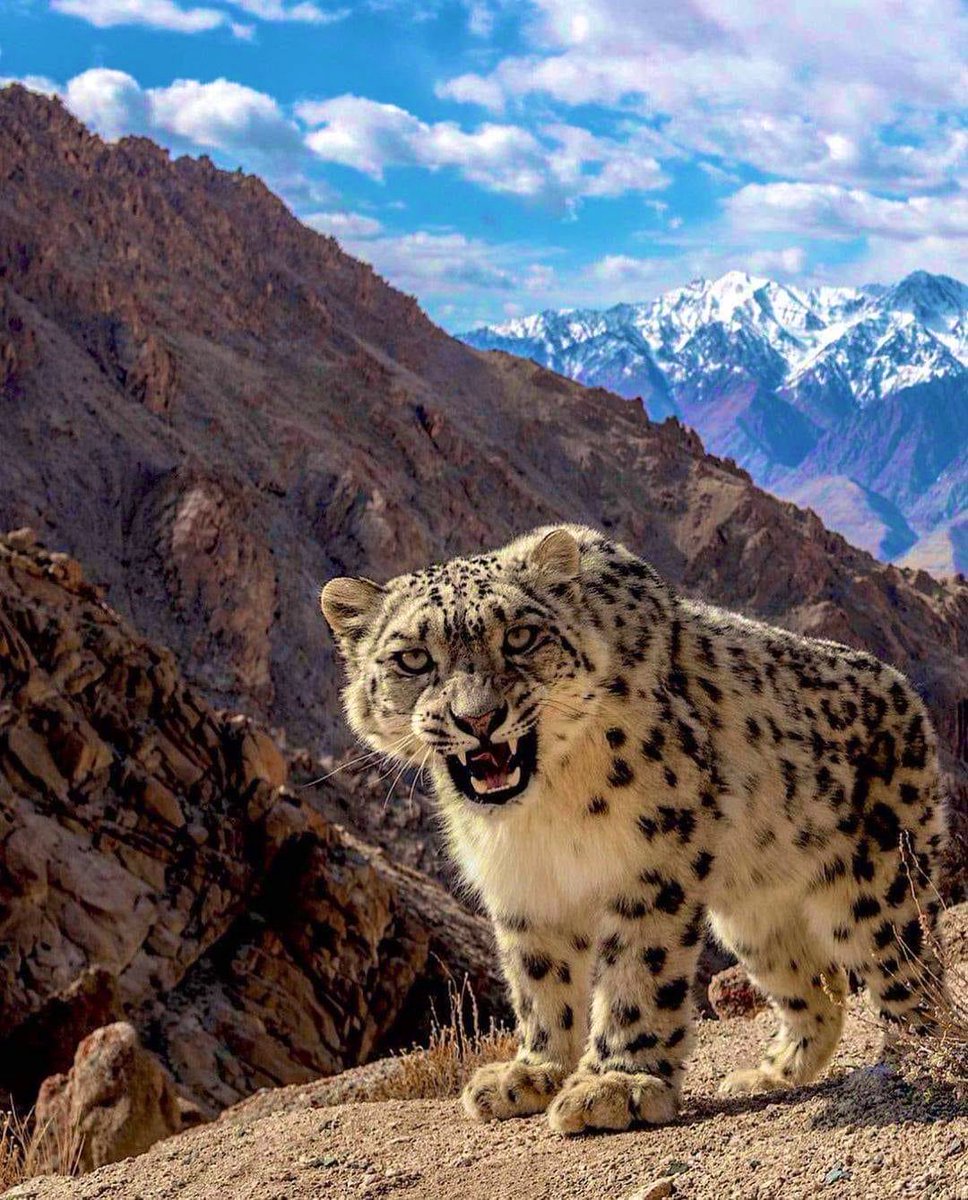 Siddharth Bakaria tweet media