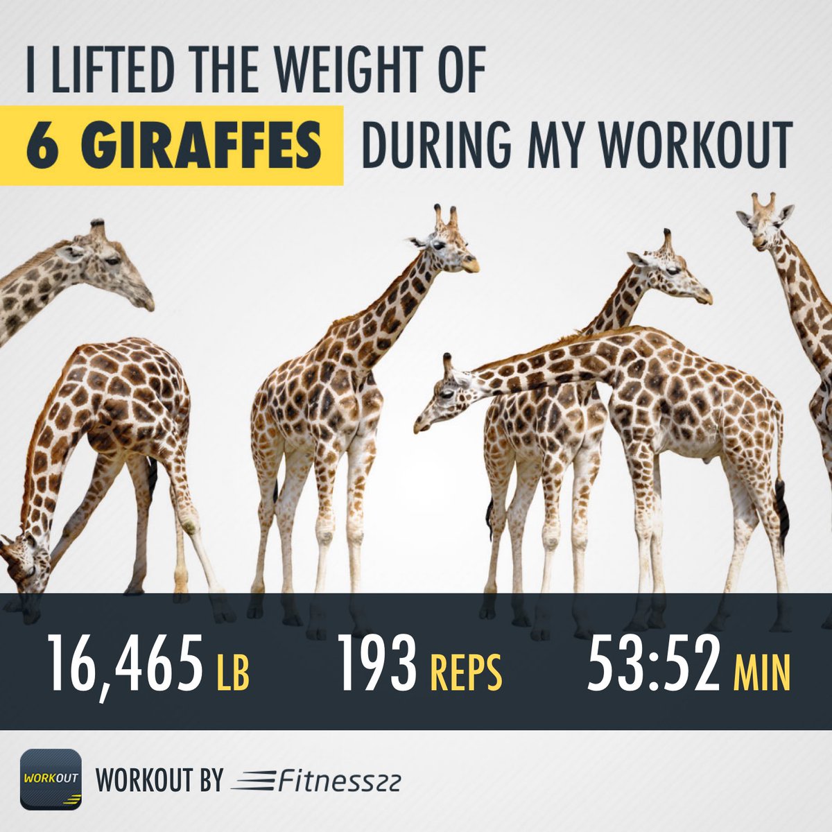 CoachJayMathis's tweet image. Got in. Got it done. Also, giraffes wear their bow ties at the base of the neck. Scientific fact. #teachertwitter #teacherfit