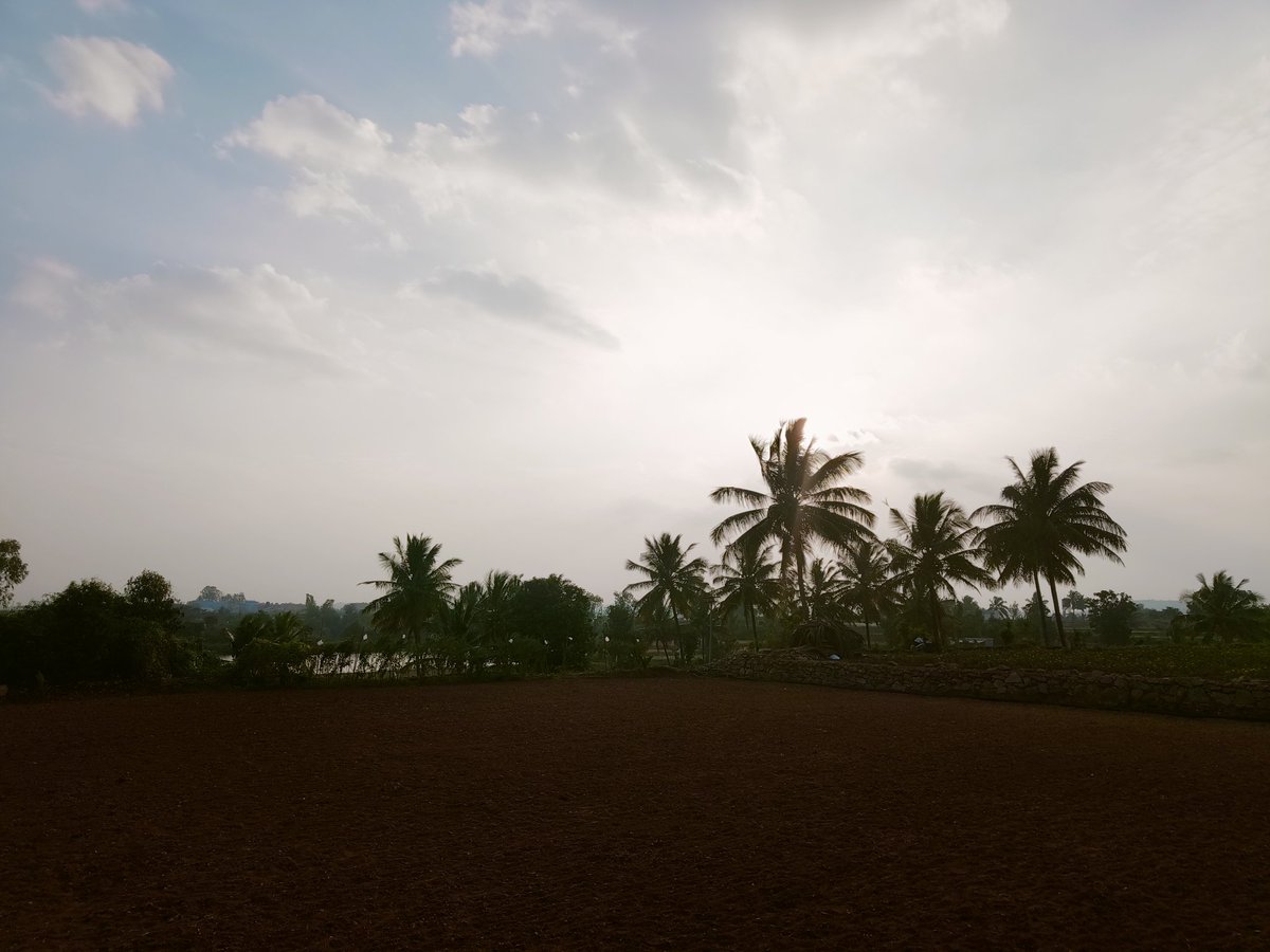 TTHCollective's tweet photo. Yes sir :-)
Here are a few more pics of my neighbours farm
The Southern #Morasunadu is beautiful ❤️
Obviously, Central Morasunadu (Bengaluru) was the best. Imagine the farms lands 100 years ago in our areas
North & East is a little rocky but as beautiful as the rest of Morasu. https://t.co/ATgrJQdOKQ