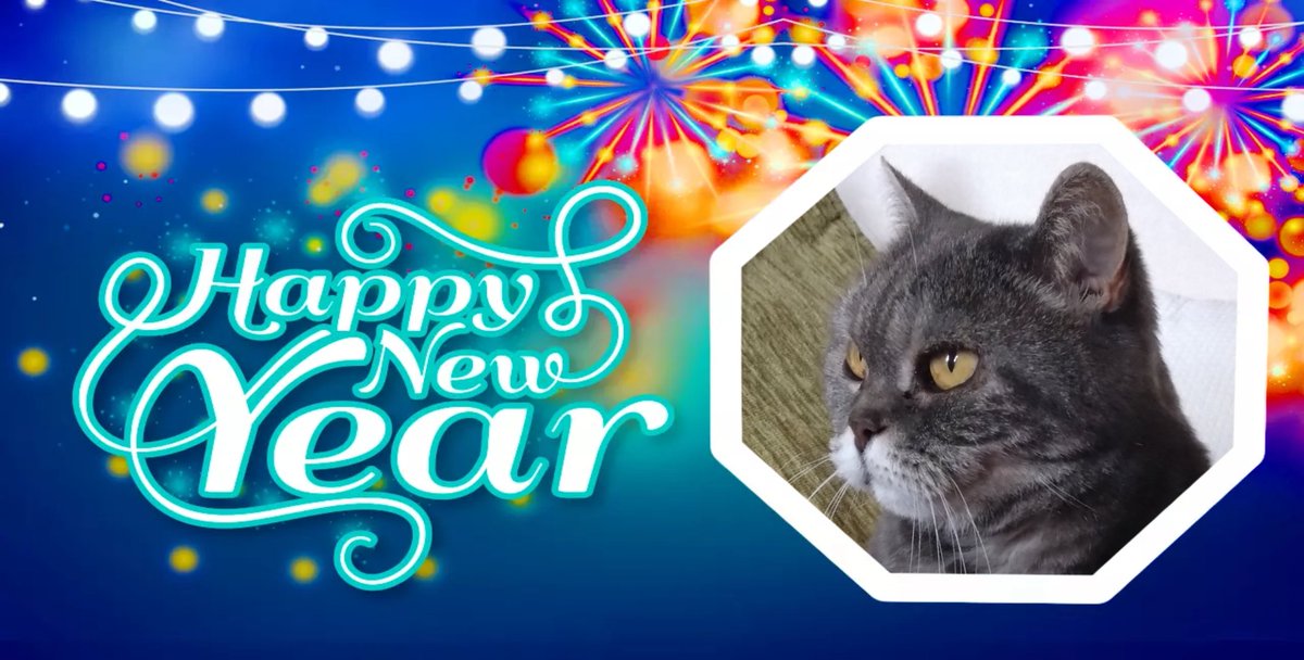 Happy New Year Pals!.. 🎉 🎉.. Have a wonderful fun filled 2024..😸..💕 #NewYear2024 #NewYear