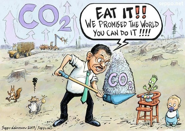 Greenpeace's tweet photo. We need REAL FORESTS, not tree plantations, to avoid climate catastrophe, and tree planting is NOT a free pass for unchecked carbon pollution.

🎨 Cartoon: @sepponet 

https://t.co/GNZhu1N6xv https://t.co/jSSx7u9KF0