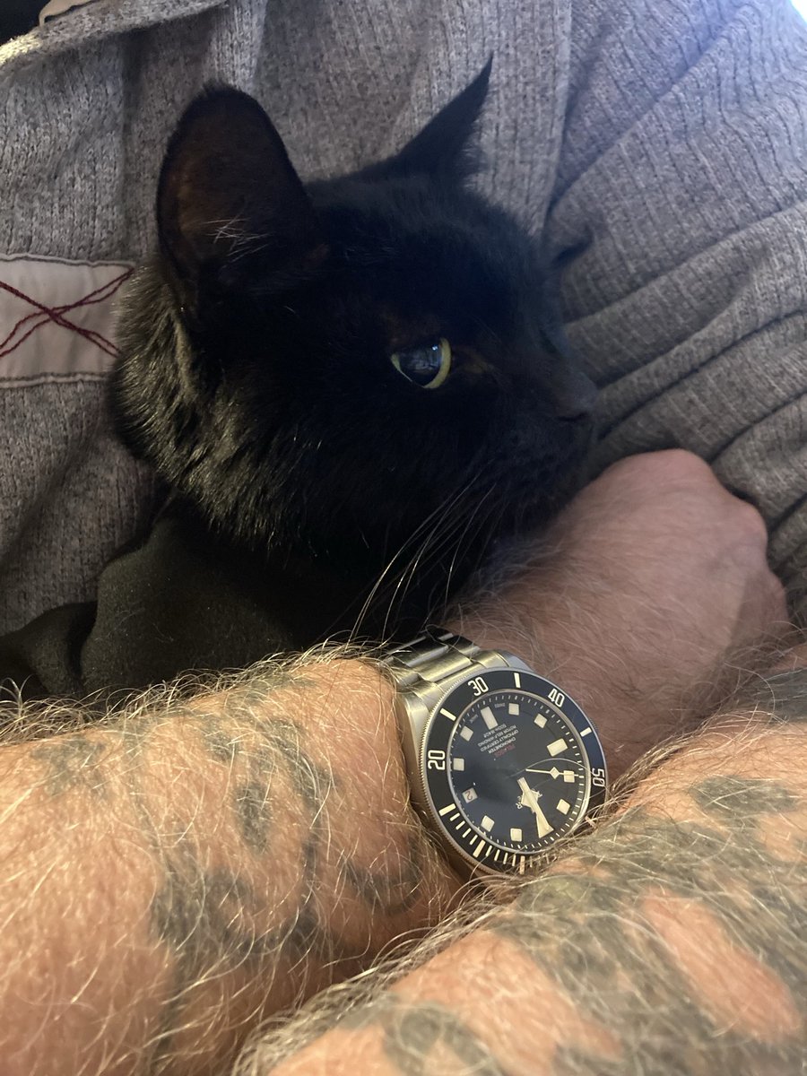 davidsupercat's tweet photo. #teambooboo https://t.co/o640djkxFW
