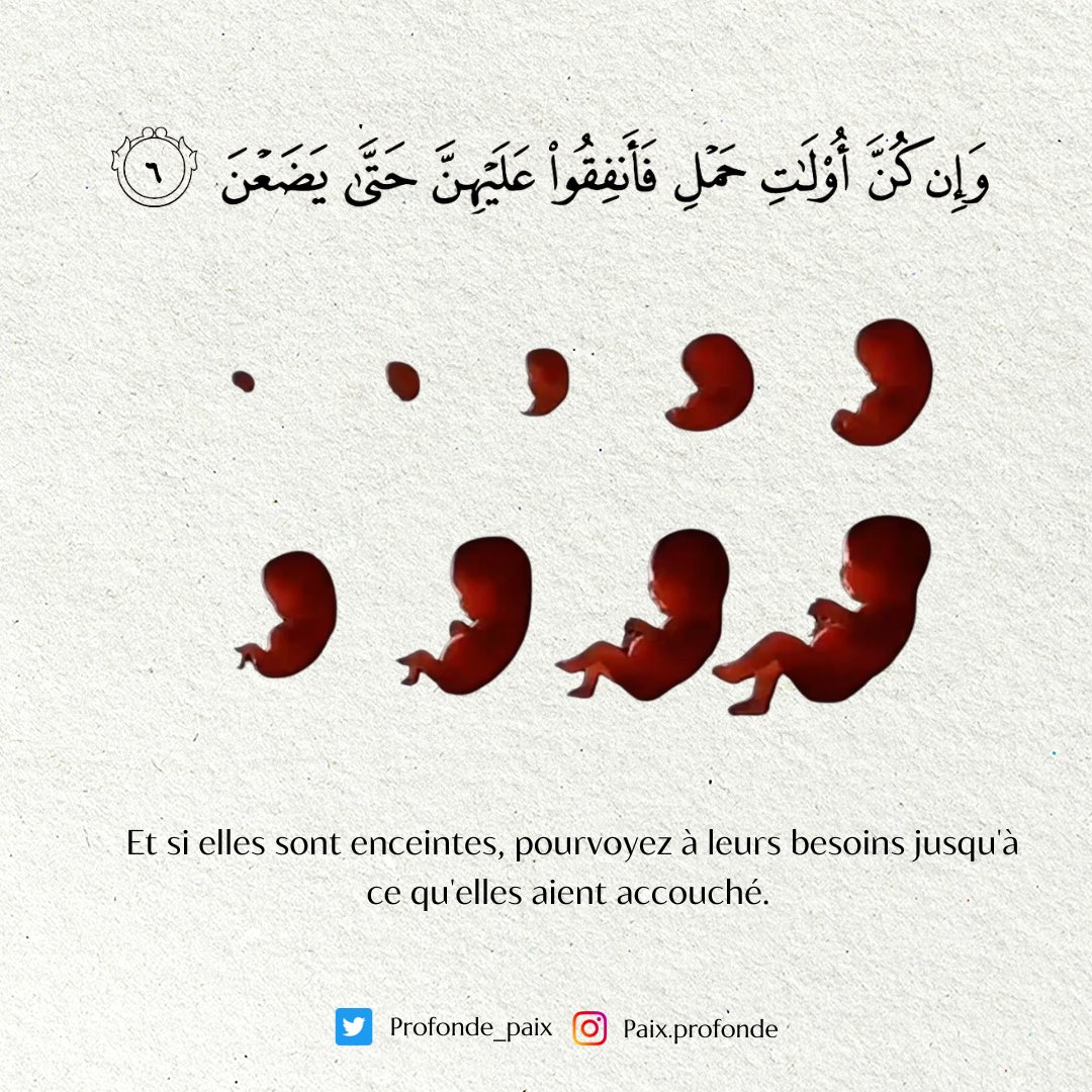 profonde_paix's tweet photo. Surah At-Talaq Verset 6 https://t.co/tiOdwyM83y