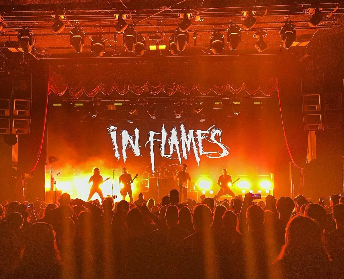 Miguel de Lys ⚜️ tweet media