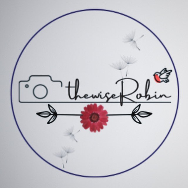 the_wise_robin's tweet photo. A new year and a refreshed beginning 
The new logo of @the_wise_robin 

#newyear #newyear2024 #newpossibilities🌷 #year2024 #renewedhope #newaspirations #possibilities #loveandhope #hopeandcourage #newlogo #thewiserobin #happynewyear #happynewyear2024 #postoftheday https://t.co/cz6U23PDCM