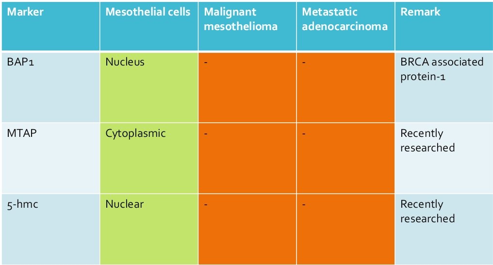 #IHCPath for 
👶🏻Mesothelial cells 🫁
🤬Malignant mesothelioma 🫁
👺Metastatic adenocarcinoma 🚕

#pathX #pathTwitter #pathology #PulmPath