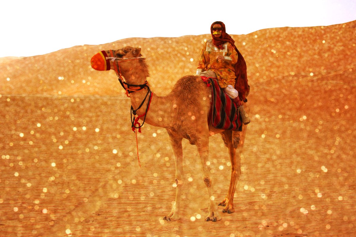 Happy New Year to all!  In less than 24 hour's time, Marina will start her journey back to the UAE!  Not only is she looking forward to the thrill of sand under her tyres, after 8 weeks in wintry Scotland, she is also looking forward to thawing out!