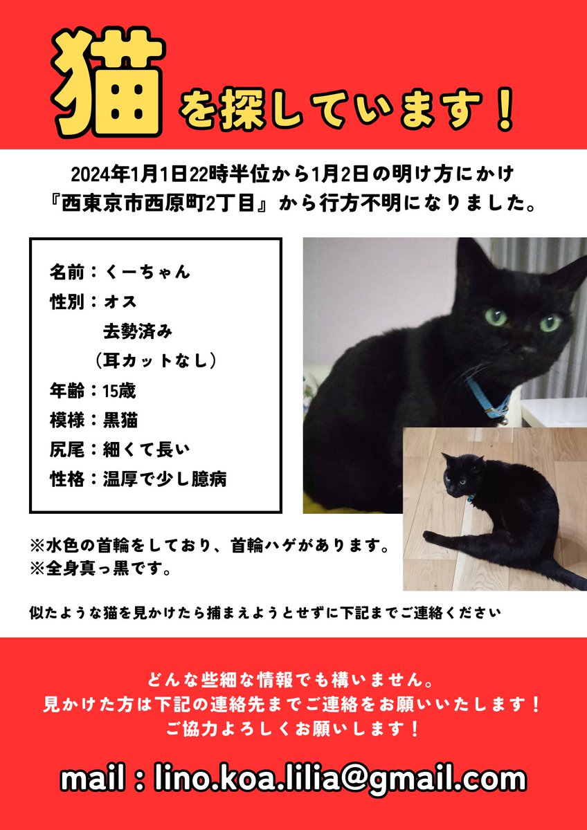 拡散希望】 2024年1月1日の夜に『西東京市西原町2丁目』から黒猫の「く