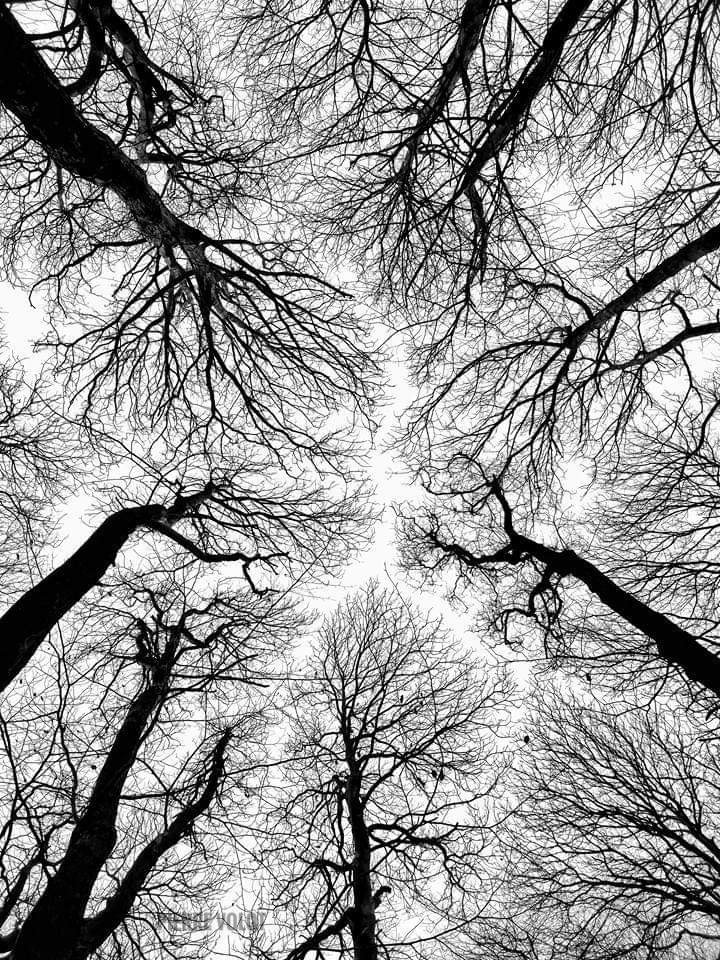 L'hiver 
#dunkerque #dunkirk