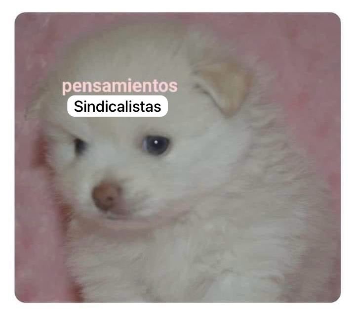 Listo, ahora nos quieren sacar el home-office