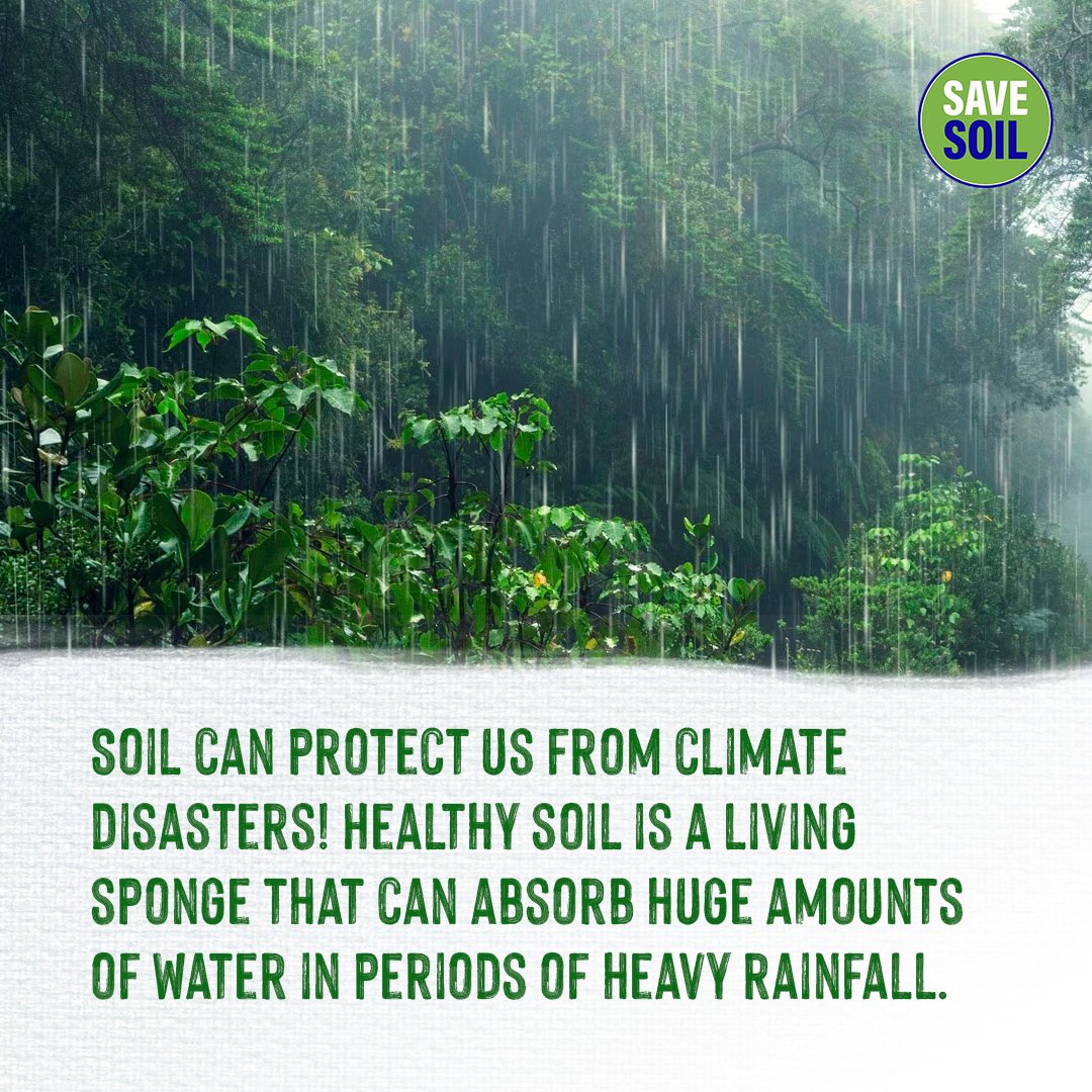 cpsavesoil's tweet photo. Increasing soil organic matter by just 1% in the top six inches can enhance water retention by around 20,000 gallons per acre (USDA NRCS, 2016).

Beneficial soil, acting as a living sponge, plays a vital role in climate resilience. Its sponge-like texture, created by living organisms, soil organic matter, and biological glues, helps absorb substantial water during heavy rainfall. This minimizes the risk of flooding and makes farms with a robust soil sponge more resilient to droughts in dry seasons. 

The natural filtration processes in healthy soil also purify water, safeguarding ecosystems and human drinking water from pollutants like heavy metals and chemicals.

Action now: https://t.co/uVnQCIZBeZ

#ConsciousPlanet #SoilForClimateAction #SaveSoilFixClimateChange
