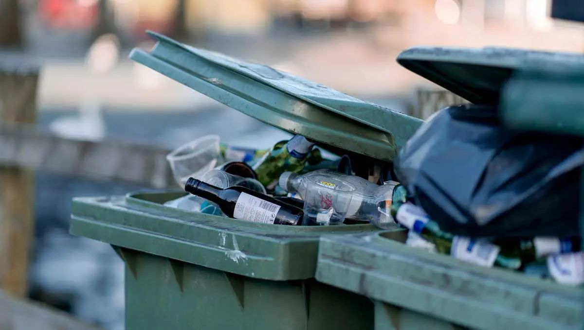 NEWS! That's a hell of a lot of bottles you've got there, say bin men buff.ly/4aU8h1l