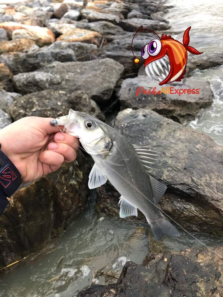 PecheMer's tweet image. Comme d'habitude 😅 très bon qualité-prix👌
EFISHING Nouveau leurre de pêche en mer souple en silicone, hog shad
Le lien : s.click.aliexpress.com/e/_DEGPq53