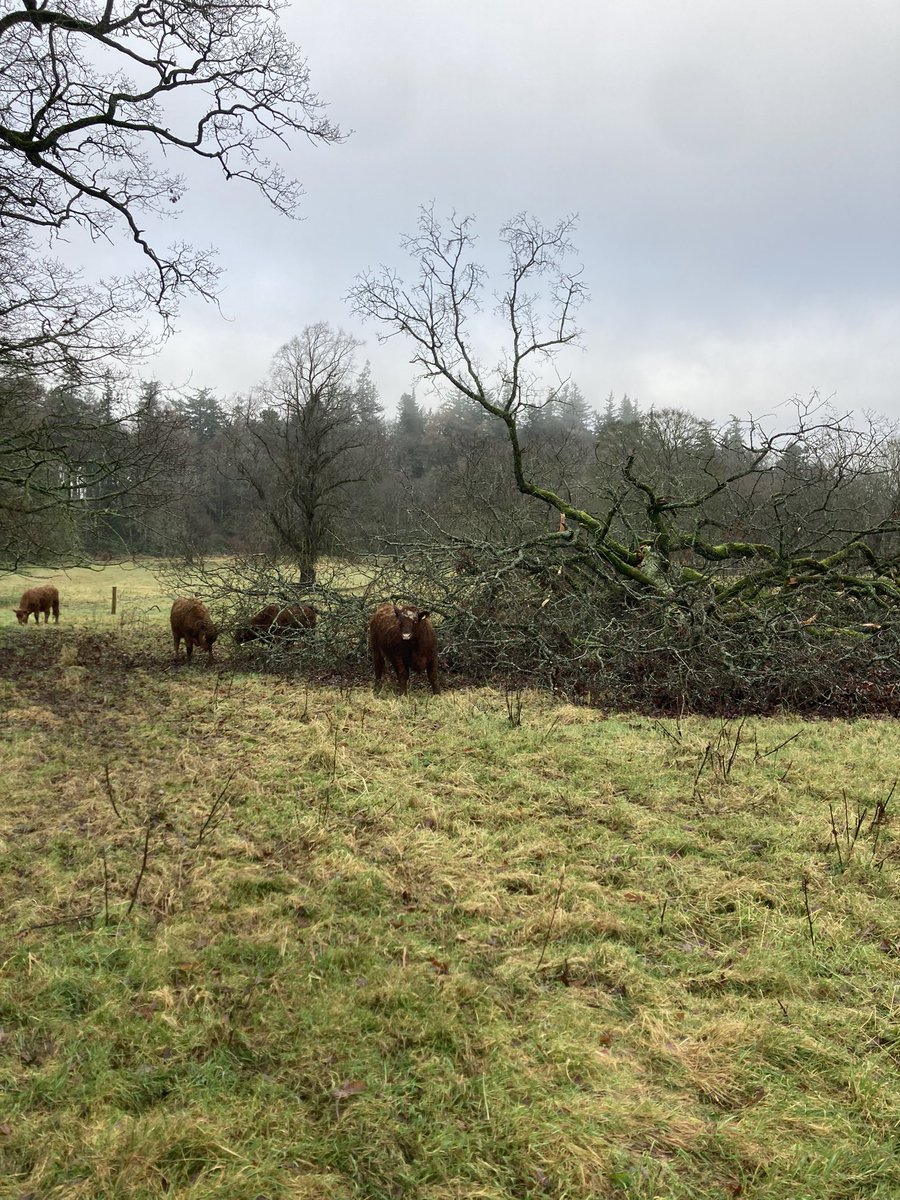 Few tags will probably be required 🫣