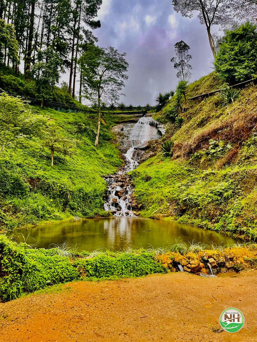 Nature in Sri Lanka

#nature #SriLanka #natureandhistory #waterfall #beautifulday
