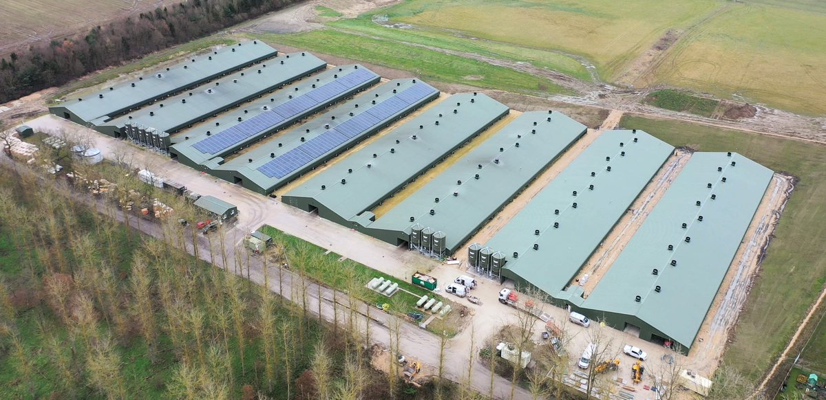 Houses 7 &amp; 8 nearly complete in Lincs. <a href="/jfmckennaltd/">JF McKenna Ltd</a> supply with <a href="/fancombv/">Fancom</a> <a href="/choretime/">Chore-Time</a> <a href="/HATO_lighting/">HATO Agricultural Lighting</a> <a href="/CollinsonAgri/">Collinson Silos 🇬🇧</a> <a href="/lubinguk/">Lubing UK & Ireland</a> . Build by <a href="/ClarkeGroup1/">Clarke Group Ltd</a> with <a href="/pellplant/">Pell Plant Hire Ltd</a> and <a href="/dtechelectrical/">D Tech Electrical</a> .